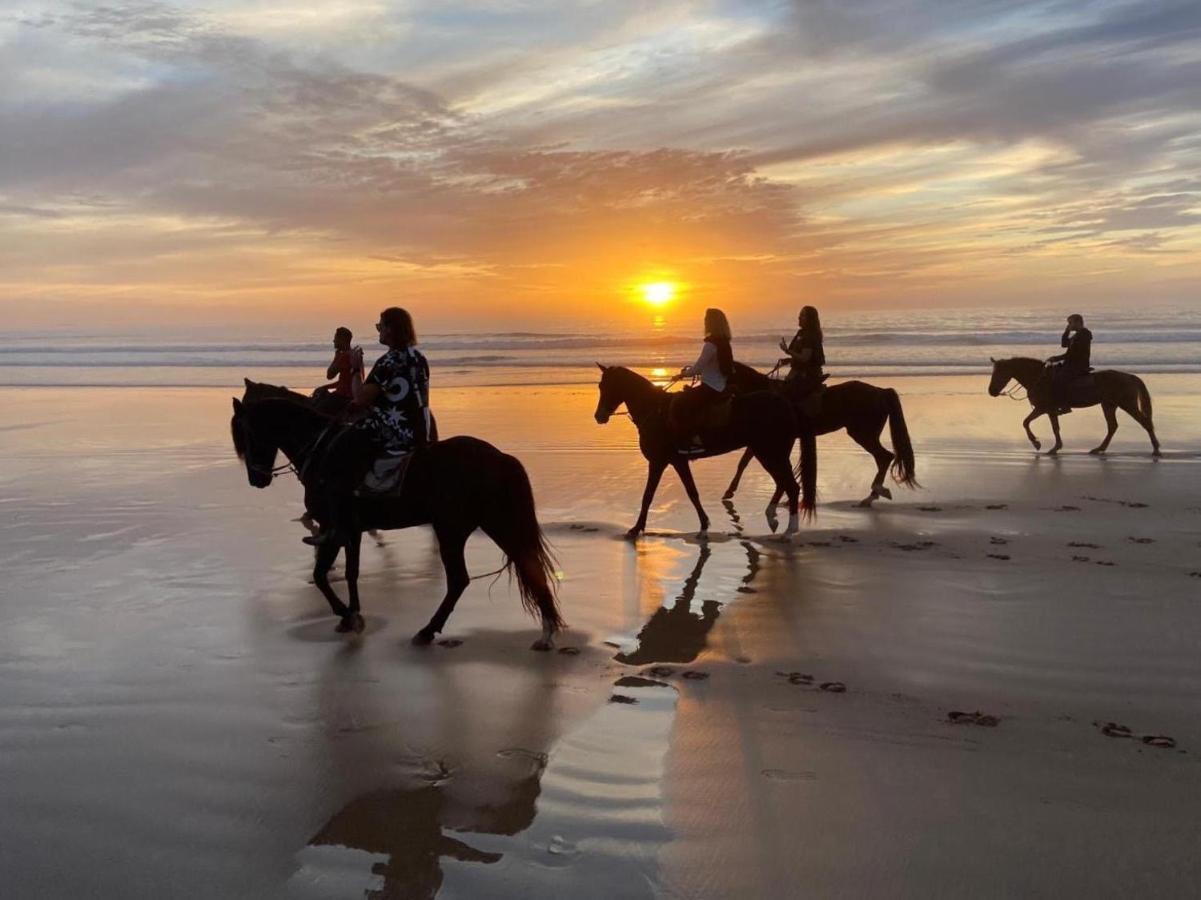 Essaouira Beach Hostel Zewnętrze zdjęcie